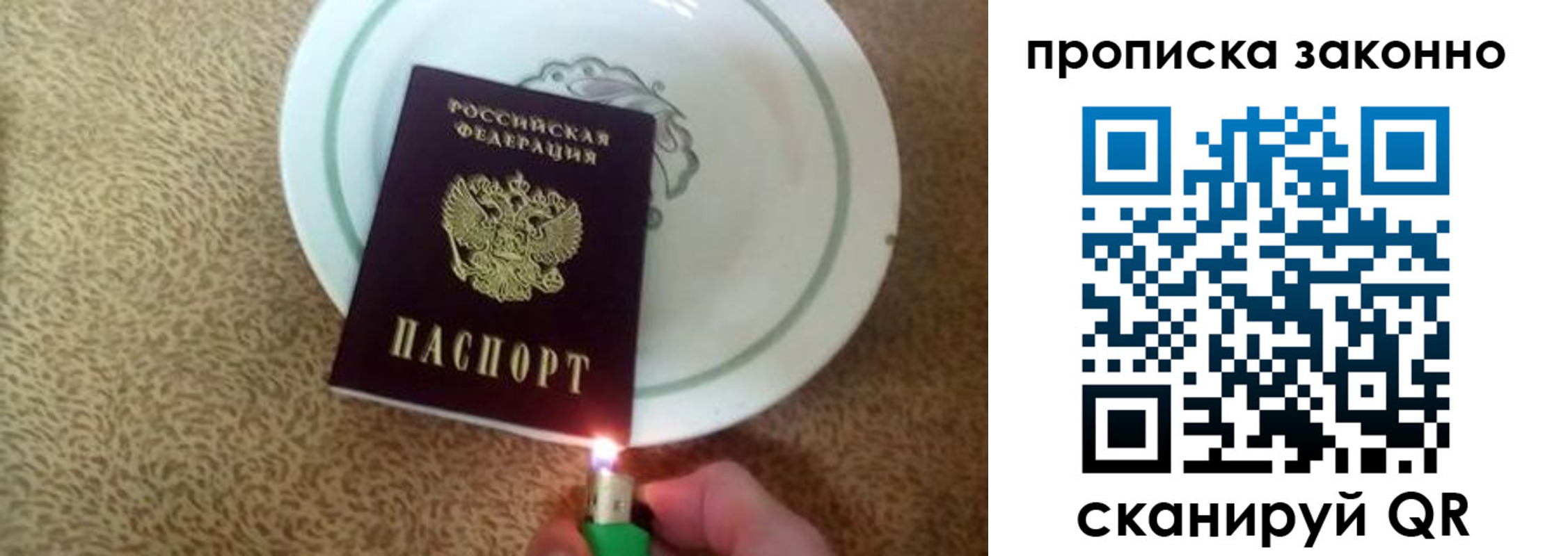 прописка поиск в Краснознаменске